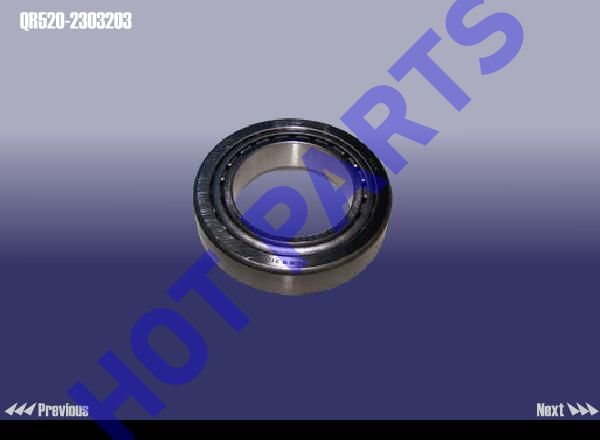 BEARING - PINION