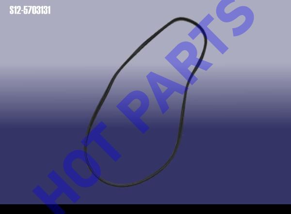 картинка TRIM STRIP-SUNROOF  S12-5703131